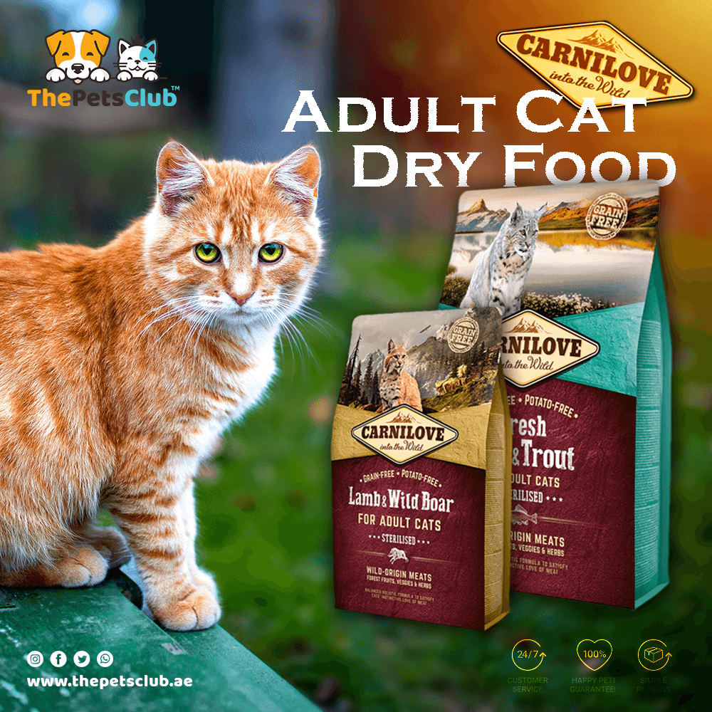 1. Logomark & Mascot Integration