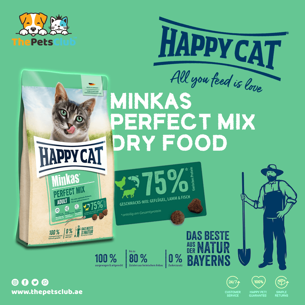 2. The "Color-Block" System