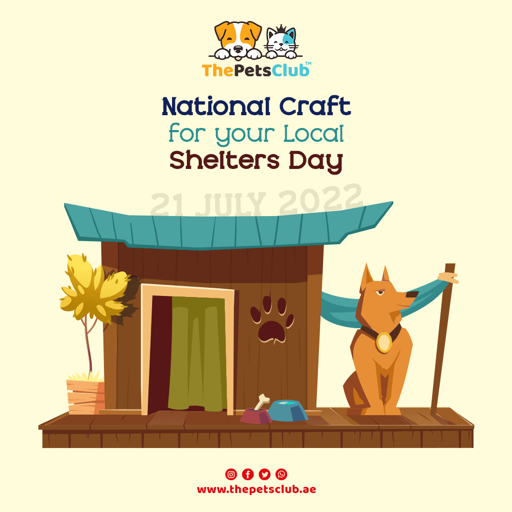 4. Typography Hierarchy